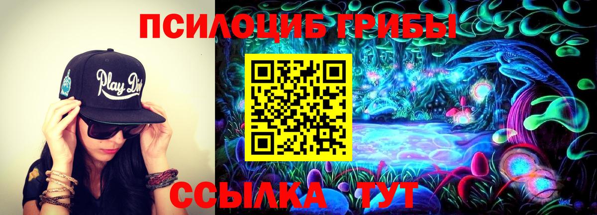 Галлюциногенные грибы MAGIC MUSHROOMS  Вход с VPN  Новосибирск  наркошоп  Галлюциногенные грибы мухоморы 