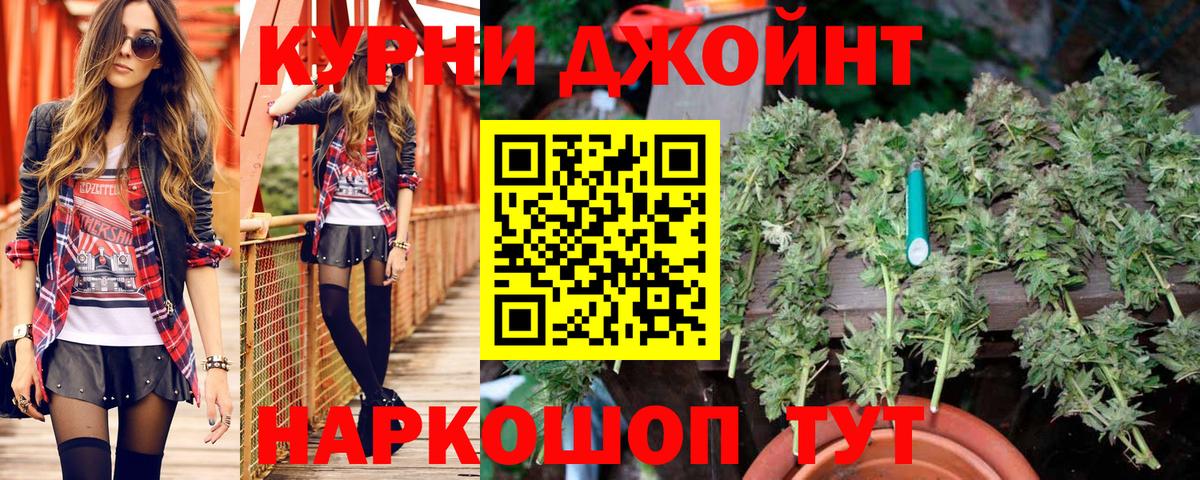 Новосибирск  Каннабис семена  Каннабис планчик  Вход с VPN 